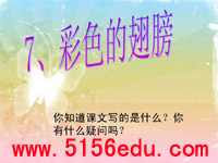 《彩色的翅膀》ppt课件1